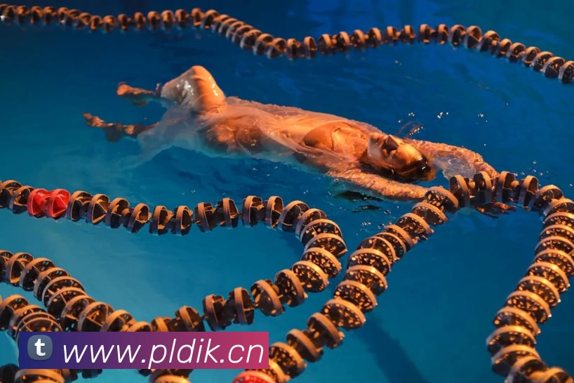 hth网页版在线登录全站App